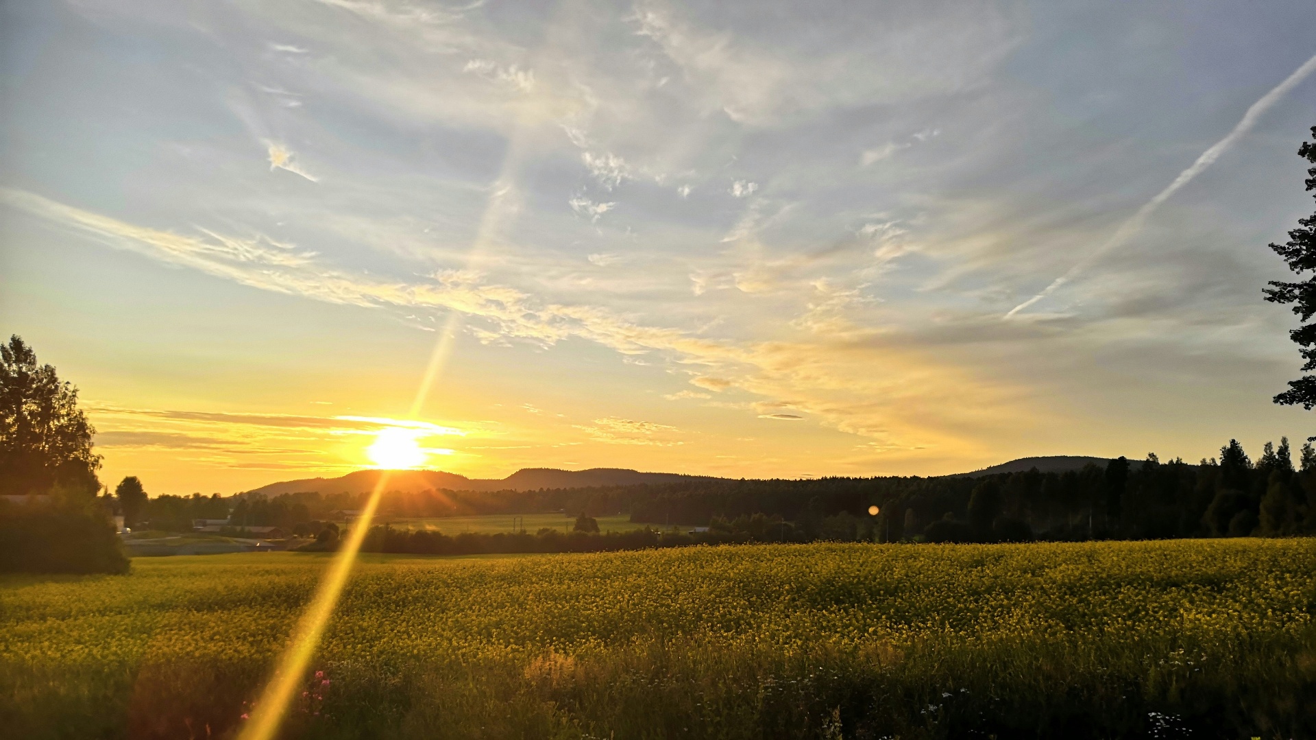 Flygfoto över Näsviken
